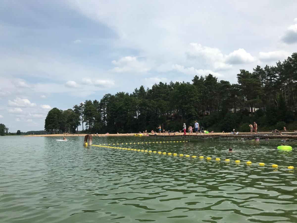 Lodge Domek Borsk