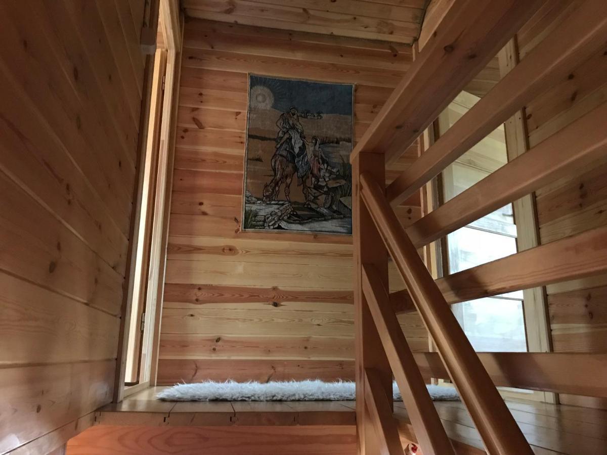 Lodge Domek Borsk