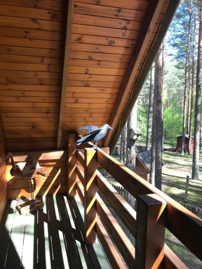 Domek Borsk Lodge *