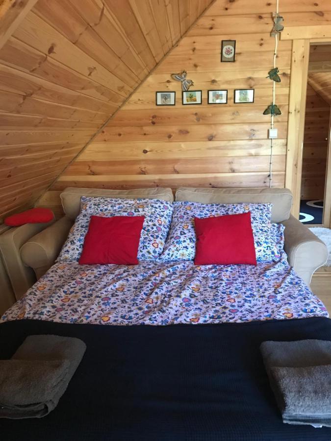 Lodge Domek Borsk *