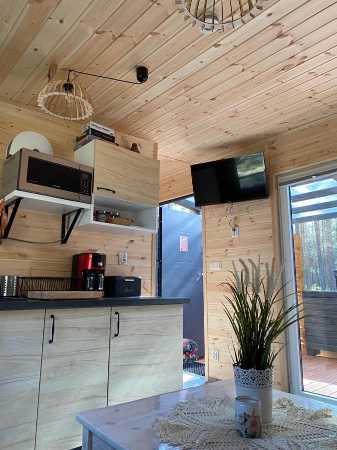 Lodge Domek Borsk *