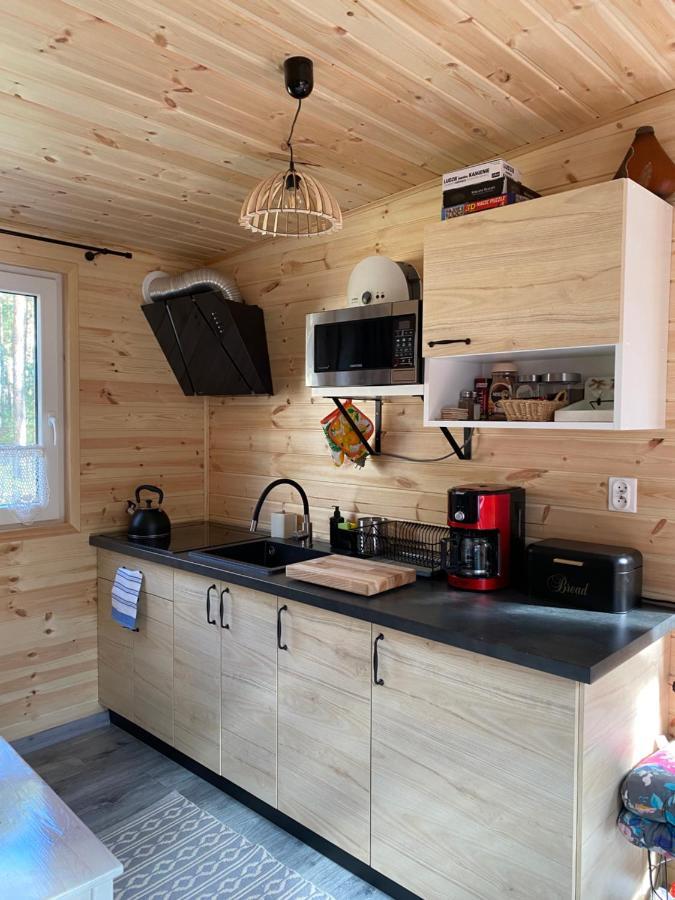 Domek Borsk Lodge *
