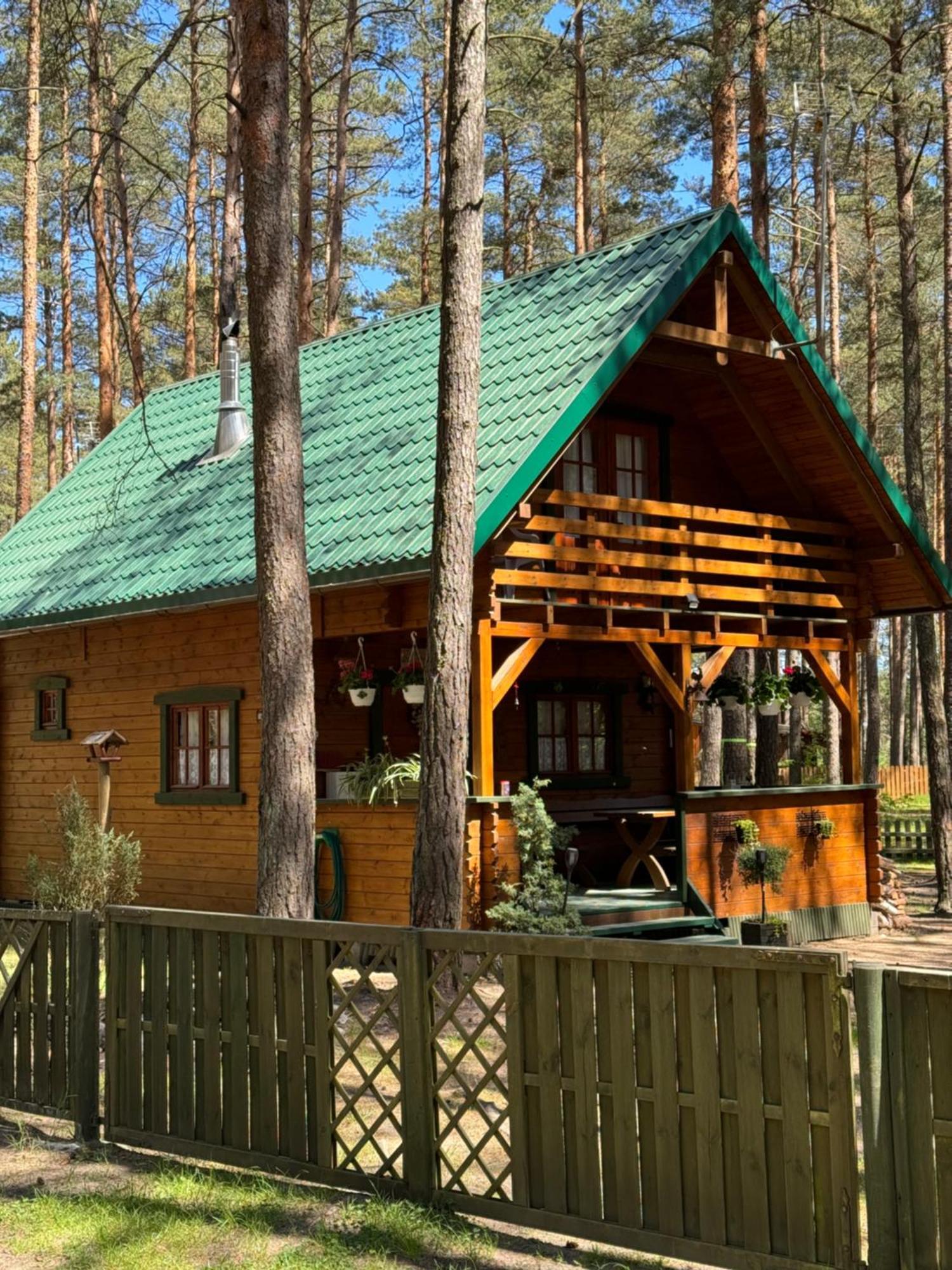 Lodge Domek Borsk Borsk