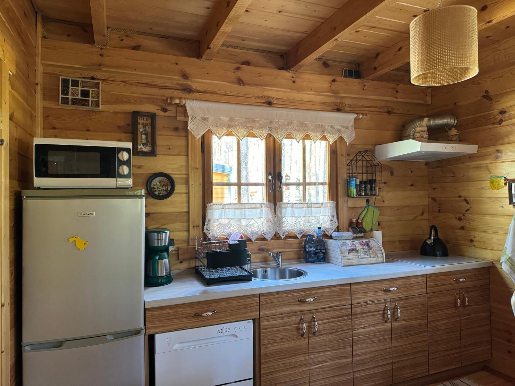 Lodge Domek Borsk
